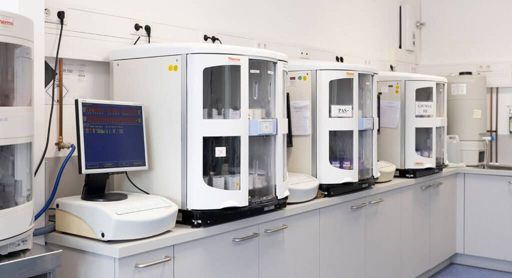 Histologische-Untersuchung-01