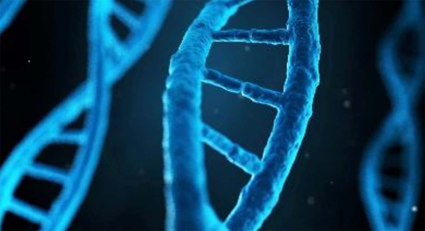 Behandlung-Humangenetik-01