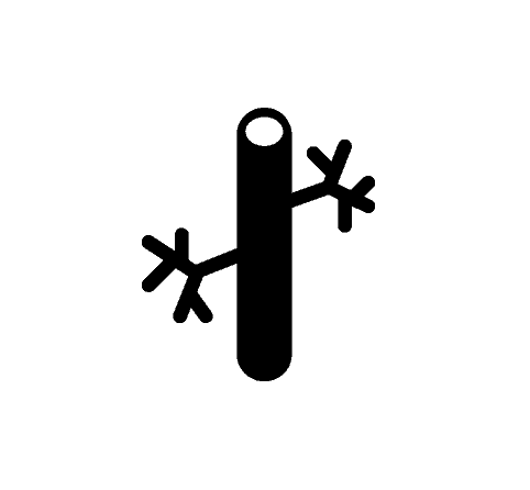 Angiologie Hämostaseologie