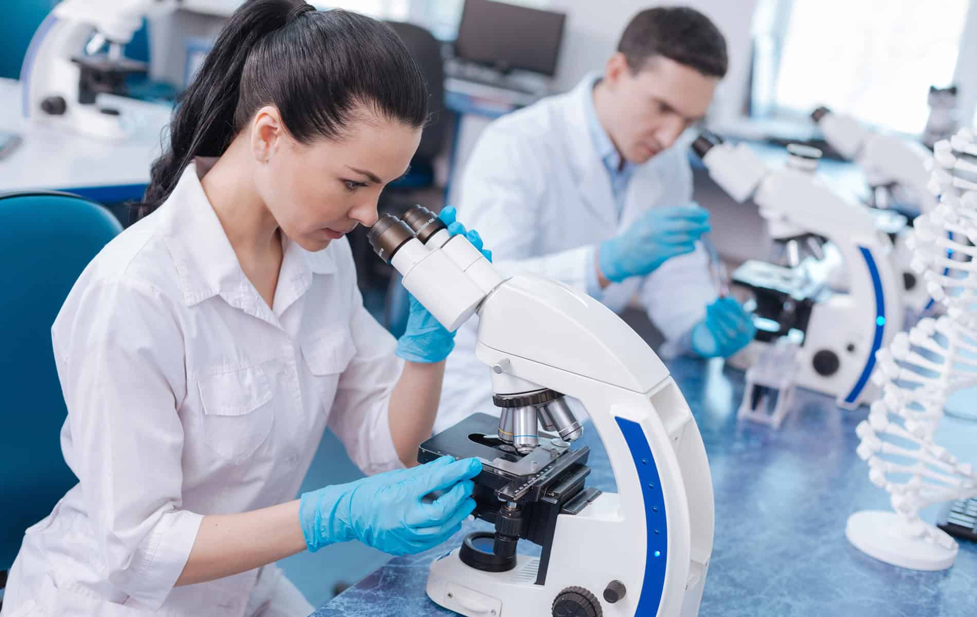 weiterbildung-dermatopathologie